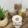 Boîte de 6 Fondants en Cire Soja - Jasmin de Minuit – Image 2