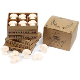Boîte de 6 Fondants en Cire Soja - Musc Blanc